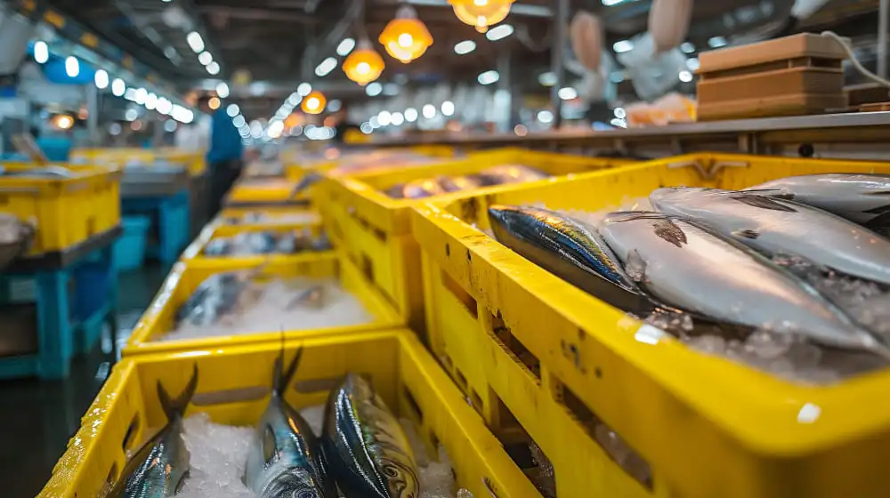 OIA Announces Merger of Oman Food Investment Company and Fisheries Development Oman